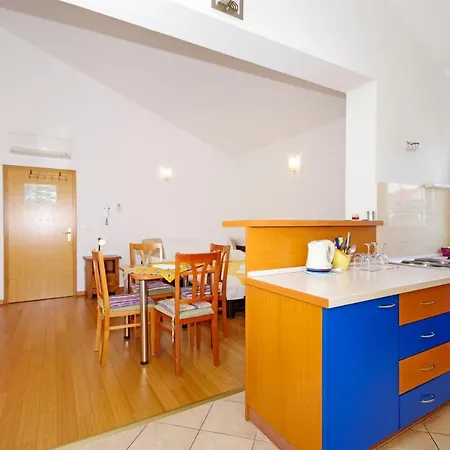 Srzic Apartment